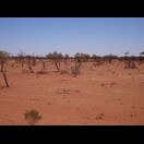 Erneut hat das Landschaftsbild gewechselt